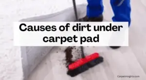 Causes of dirt under carpet pad